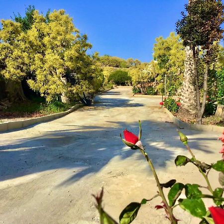 فريجيليانا Los Ninos Villa/Country House المظهر الخارجي الصورة